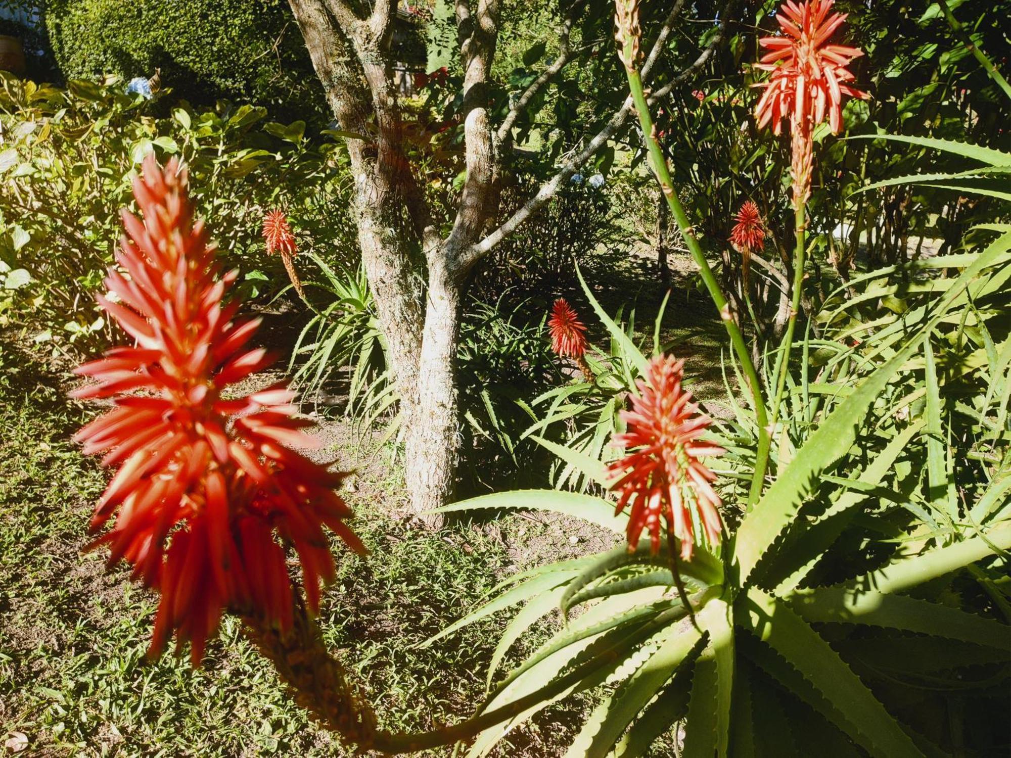 Chales Vinhas Da Harmonia Villa Cunha Dış mekan fotoğraf