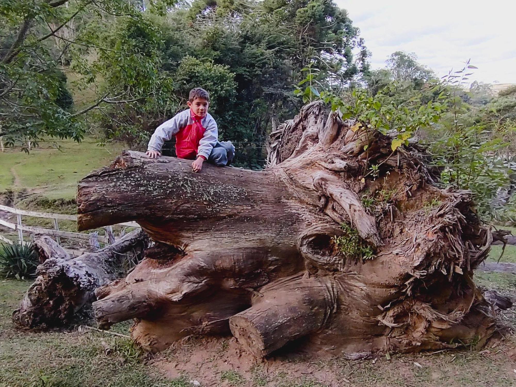 Chales Vinhas Da Harmonia L Pousada Em Cunha Sp Dış mekan fotoğraf
